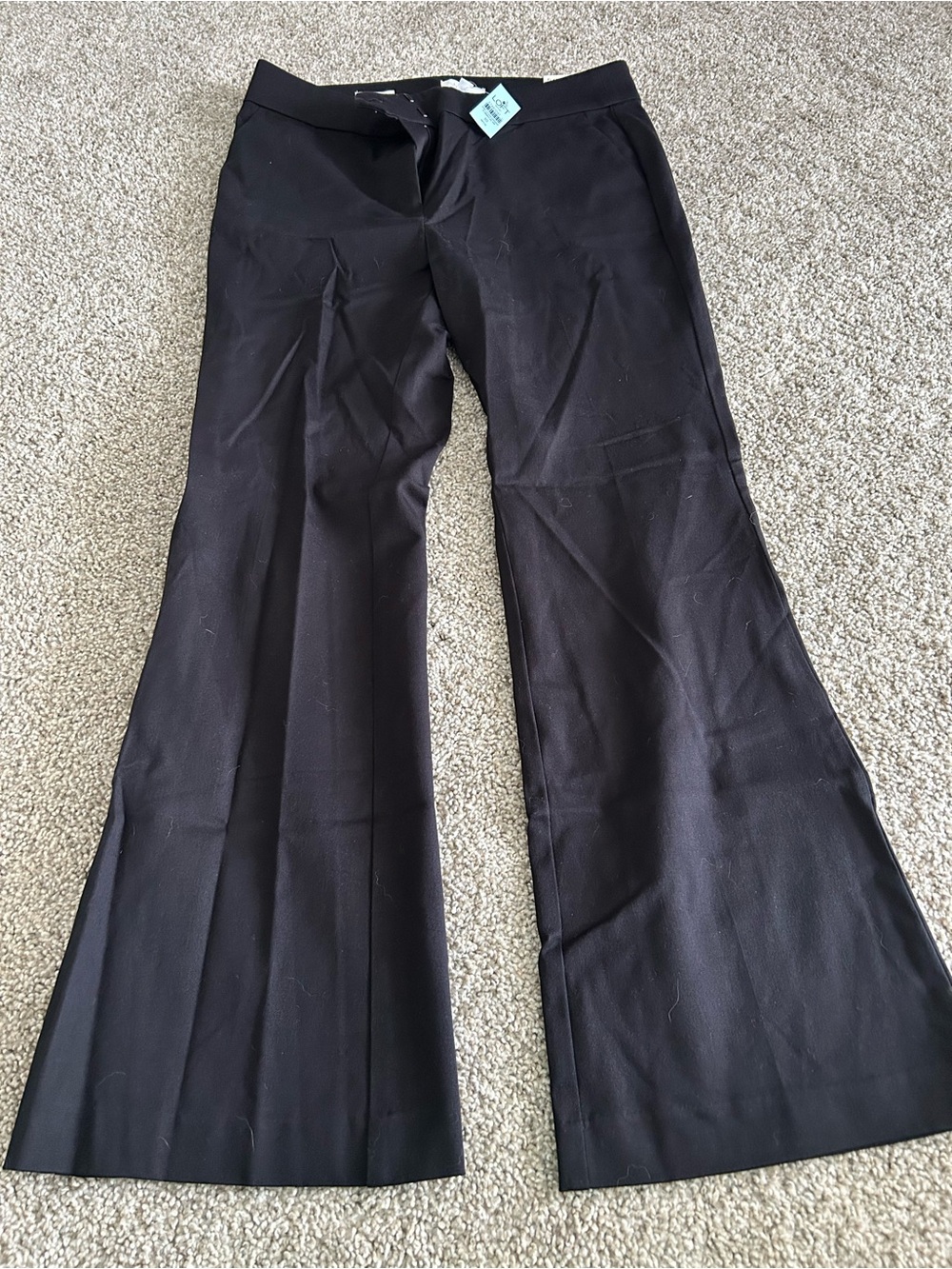 LOFT Black Boot-Cut Dress Pants
